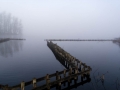 DSC01799.jpg