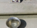 DSC03682.jpg