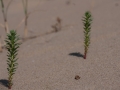 DSC09755.jpg