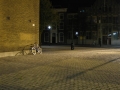 IMG_1556.jpg
