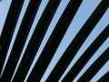 DSC09303.jpg